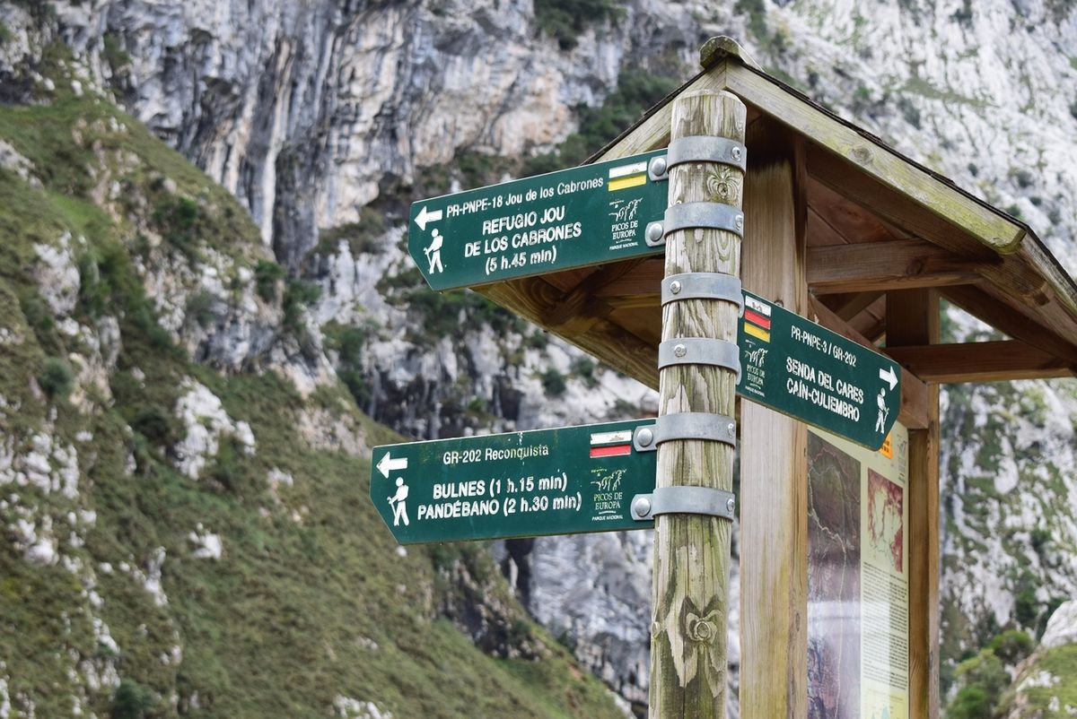 Camino a Bulnes por la garganta, con cabras y puente metálico